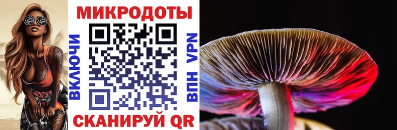 blacksprut   Челябинск  Галлюциногенные грибы Magic Shrooms 